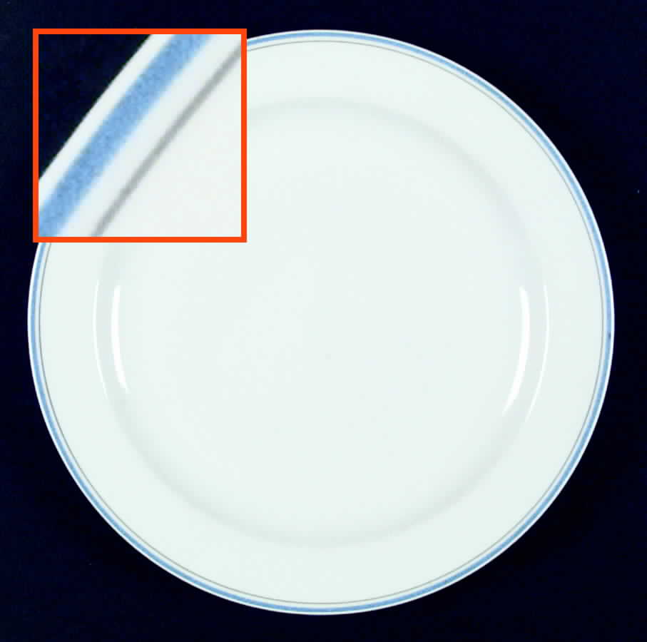 ARZ64 Dinner Plate by Arzberg-1