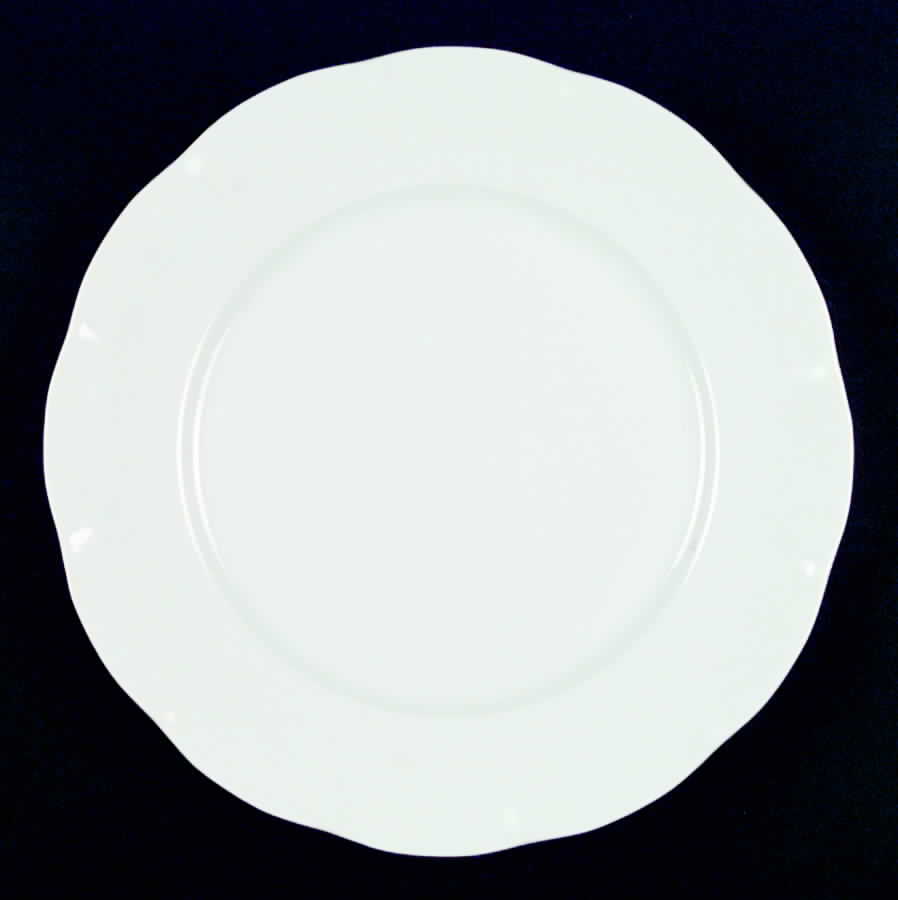 VTO16 Dinner Plate by Victoria (Austria)-1