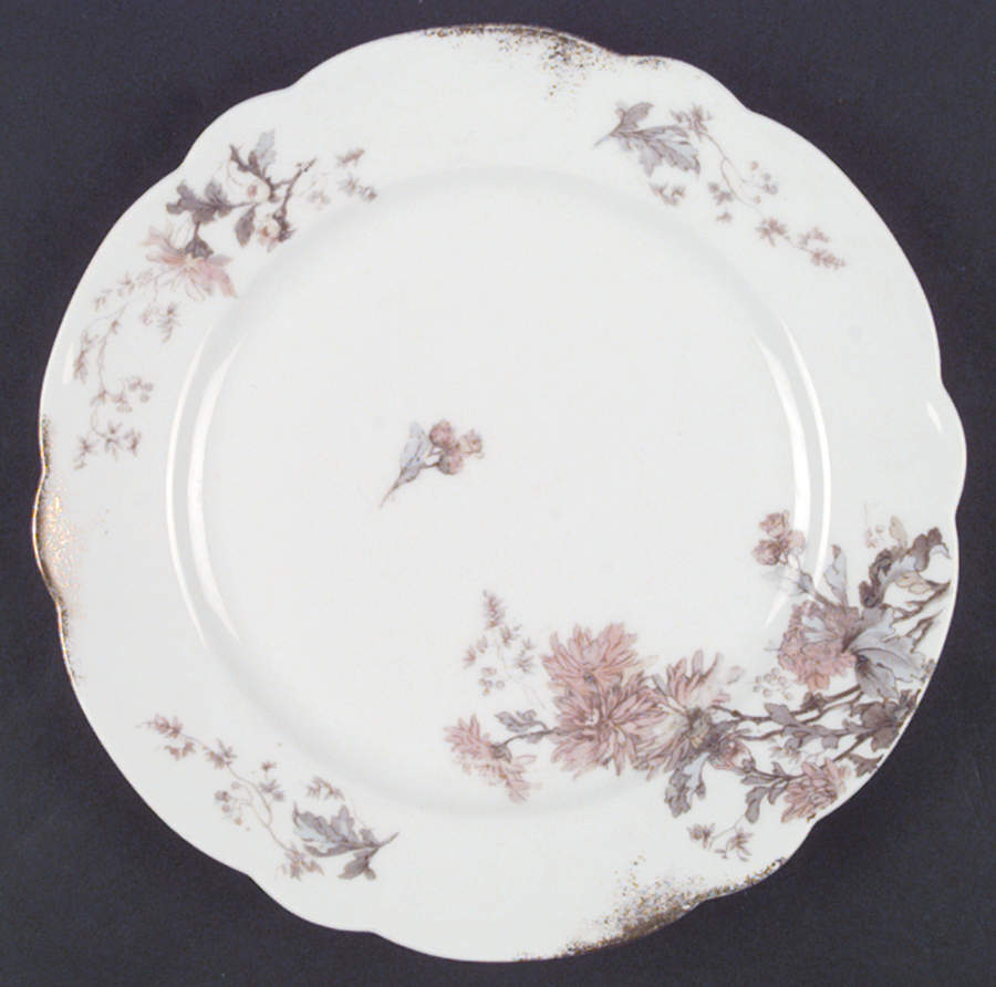 AUS165 Dinner Plate by Austria-1
