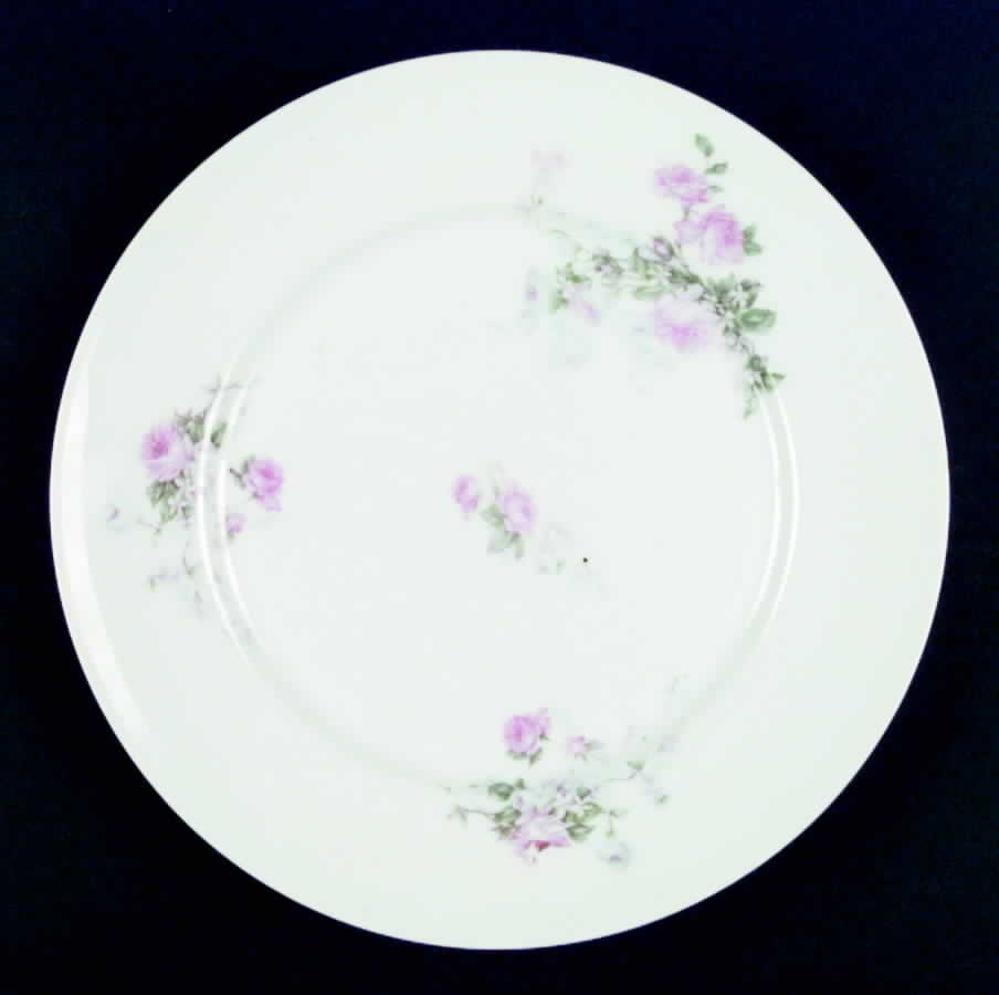 VTO17 Dinner Plate by Victoria (Austria)-1