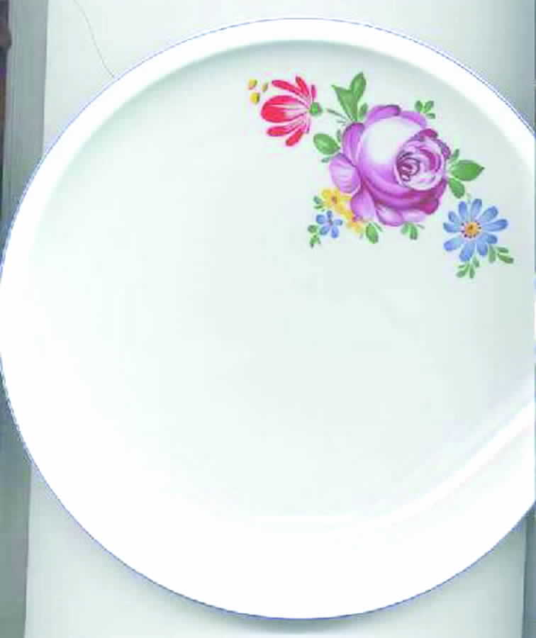 ARZ65 Dinner Plate by Arzberg-1
