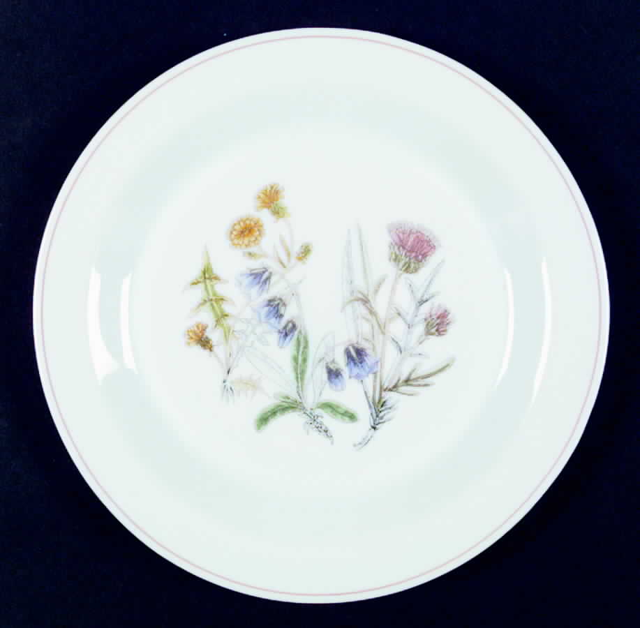 Fleur D'Ete Dinner Plate by Arcopal-1