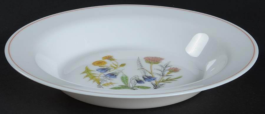 Fleur D'Ete Rim Soup Bowl by Arcopal-1