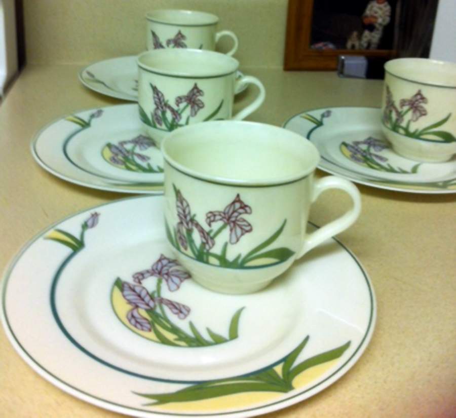 Ingenue Flat Cup & Saucer Set by Arcopal-1