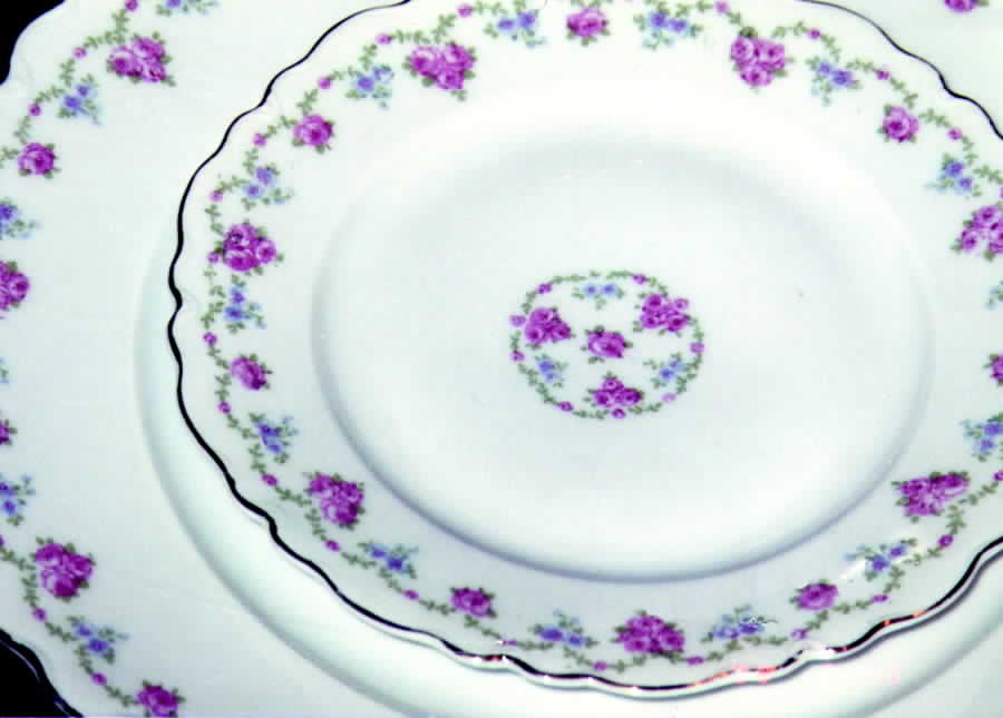 AUS168 Dinner Plate by Austria-1