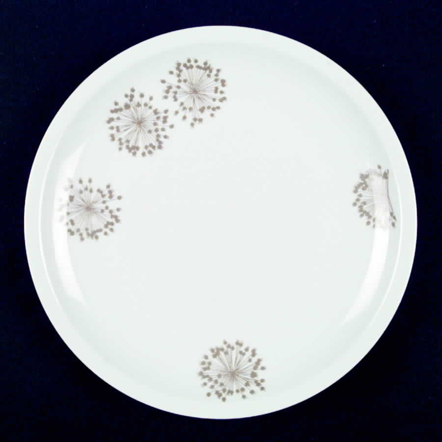 ARZ66 Dinner Plate by Arzberg-1