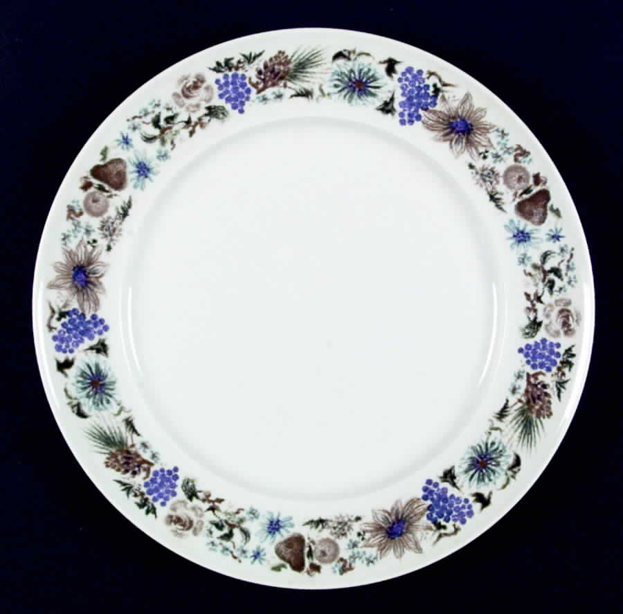 ARZ68 Dinner Plate by Arzberg-1