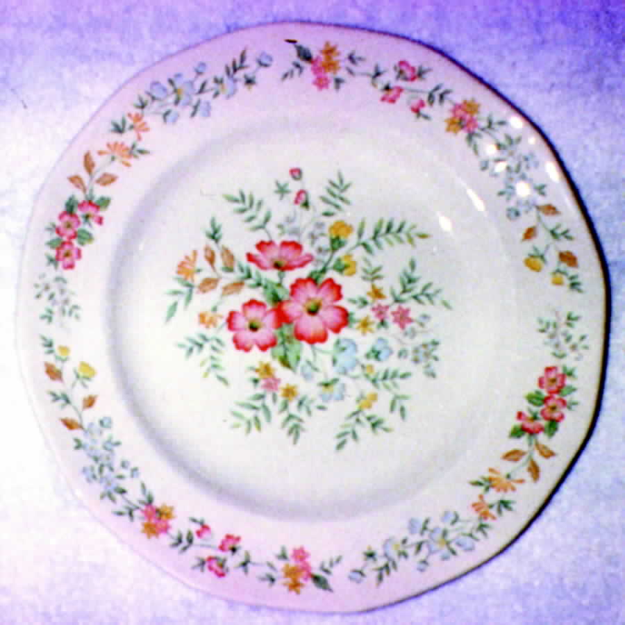 Arabella Dinner Plate by Adams China-1