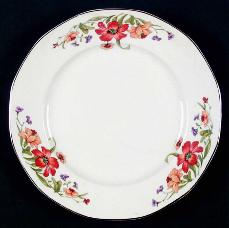 ALR3 Dinner Plate by Albright-1