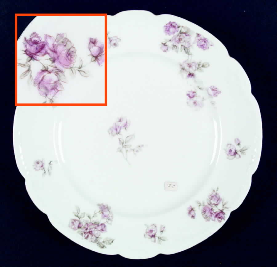 AUS179 Dinner Plate by Austria-1