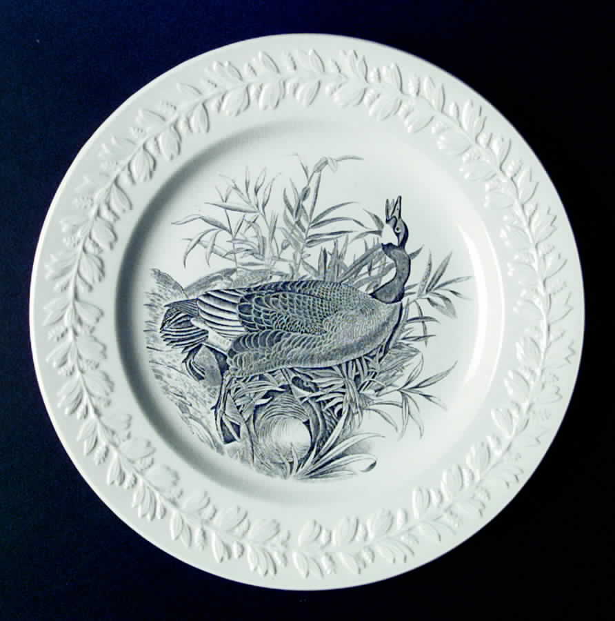 Birds of America Black Dinner Plate by Adams China-1