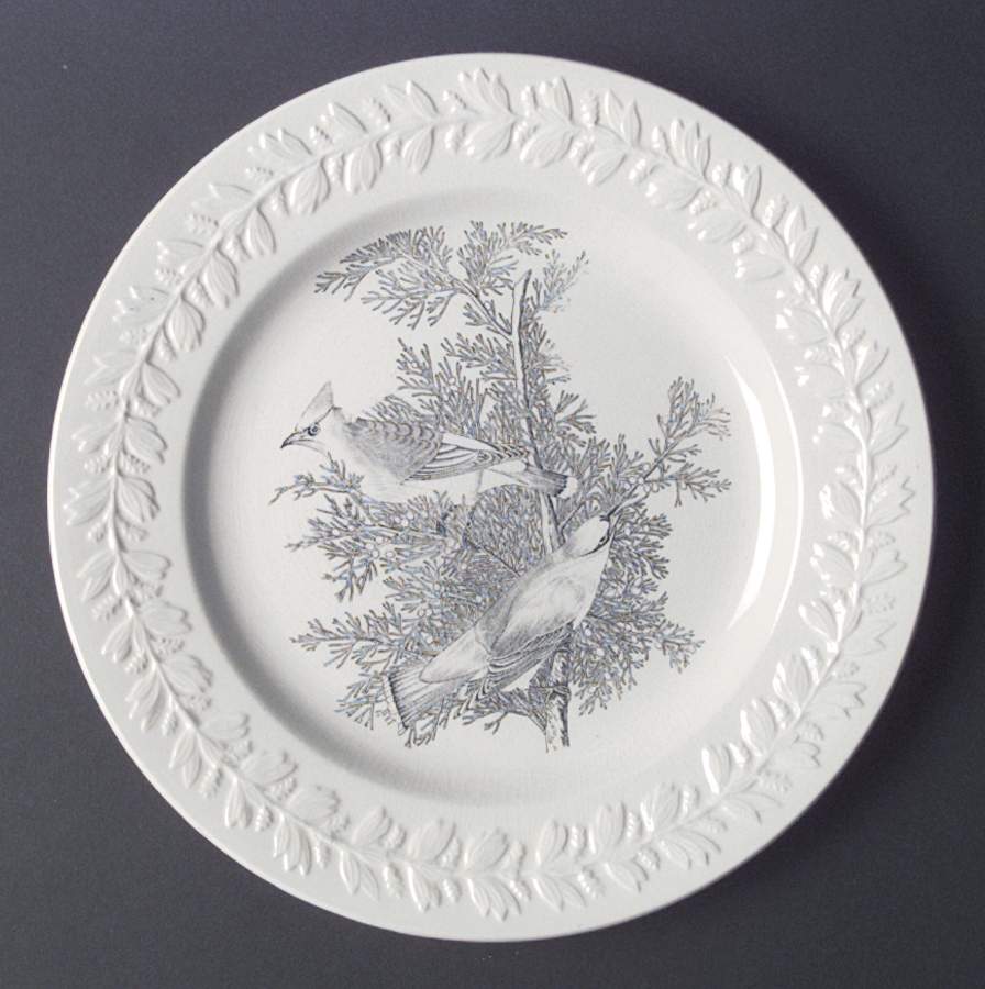 Birds of America Black Dinner Plate by Adams China-1