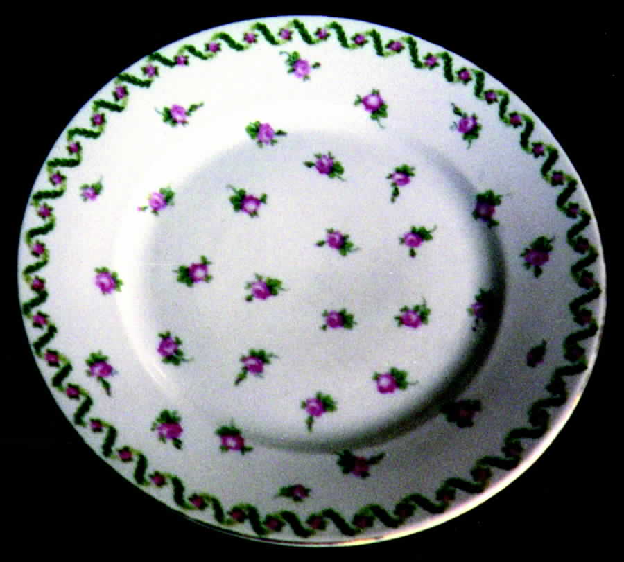 AUS184 Dinner Plate by Austria-1