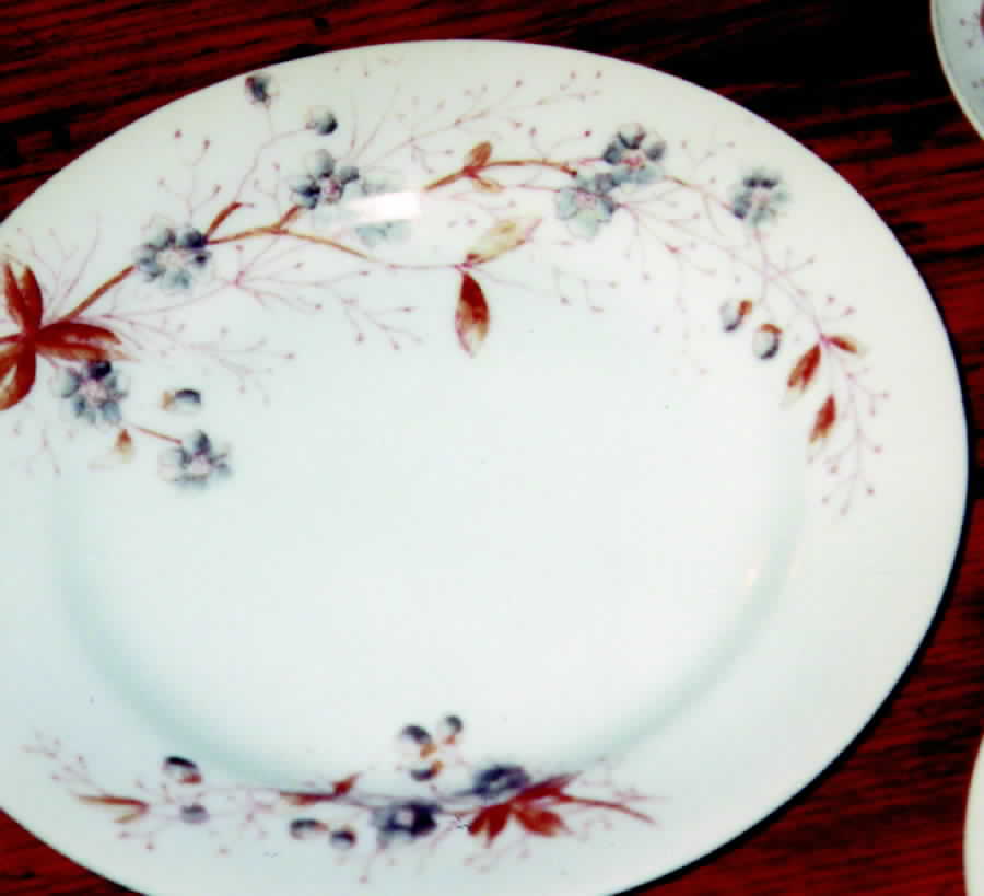 AUS186 Dinner Plate by Austria-1