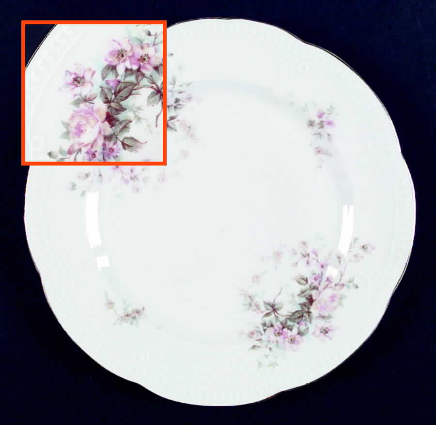 AUS187 Dinner Plate by Austria-1