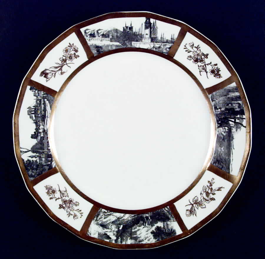 HRO35 Dinner Plate by Robert Haviland-1