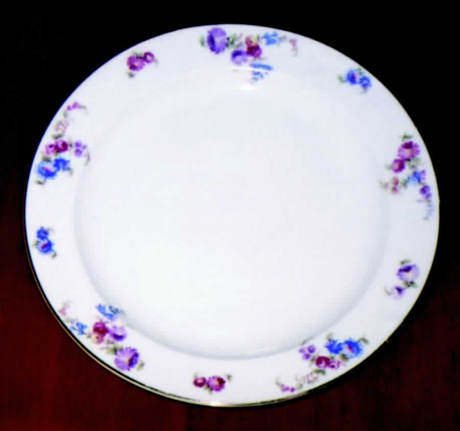 ARZ70 Dinner Plate by Arzberg-1