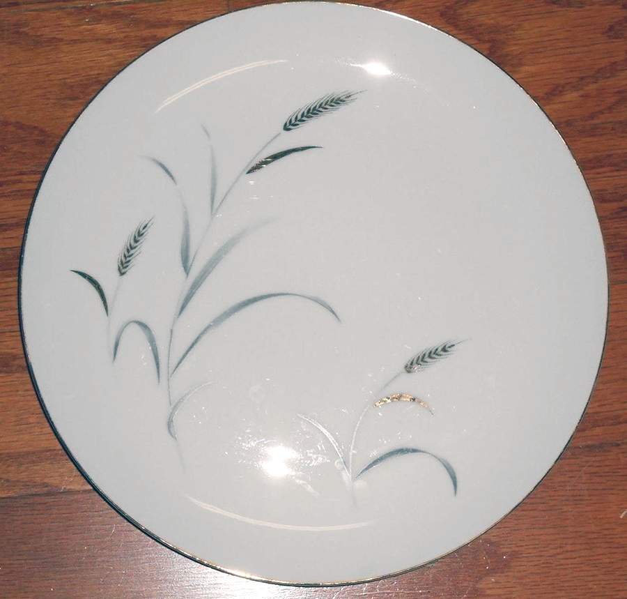 5748 Dinner Plate by Amway-1