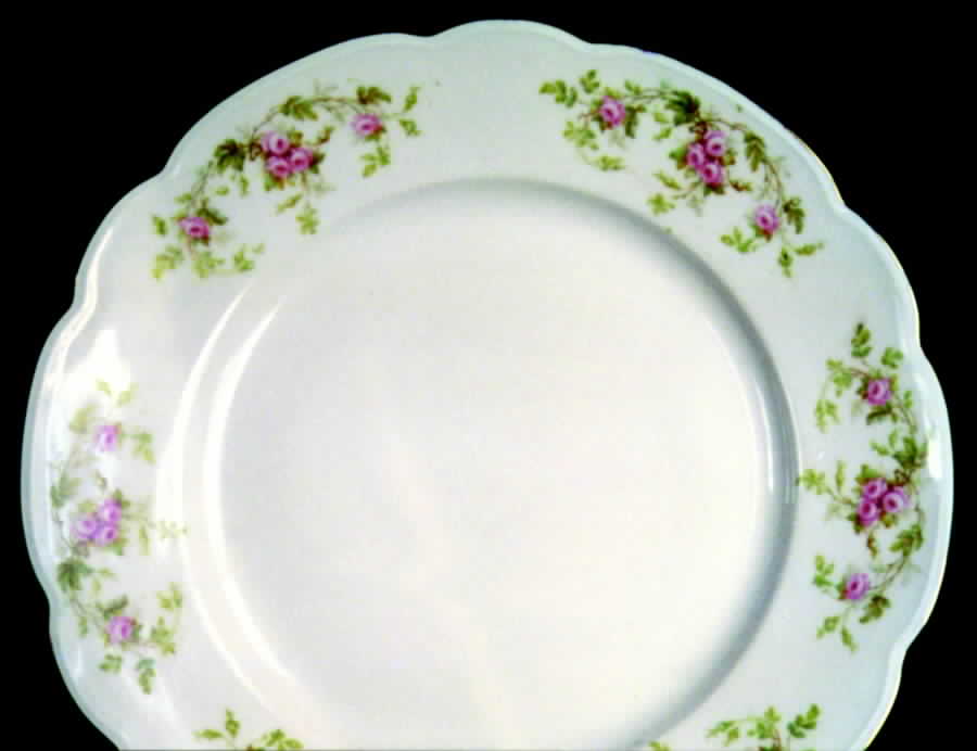 ALT190 Dinner Plate by Altrohlau-1