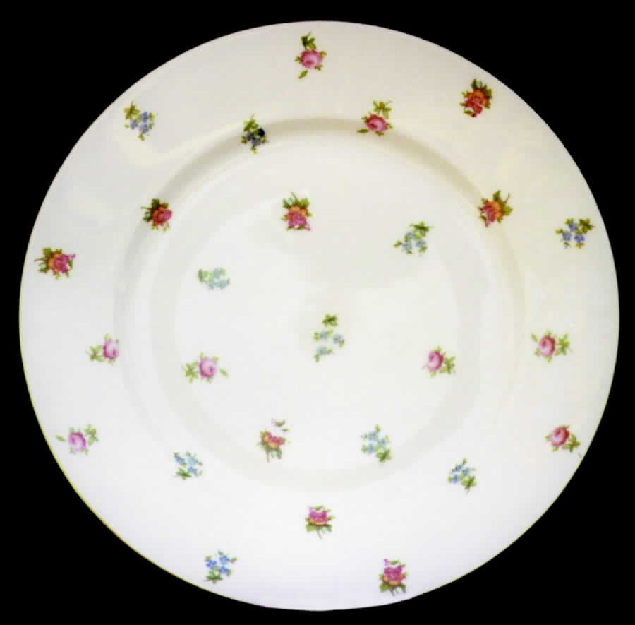 ALT195 Dinner Plate by Altrohlau-1