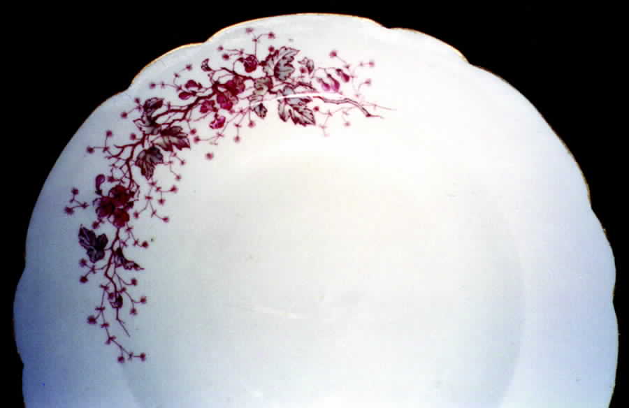 1613 Dinner Plate by Austria-1