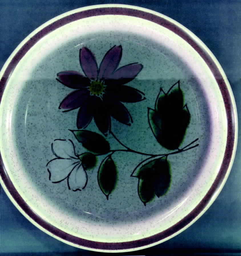 Persimmon Salad Plate by Acsons-1