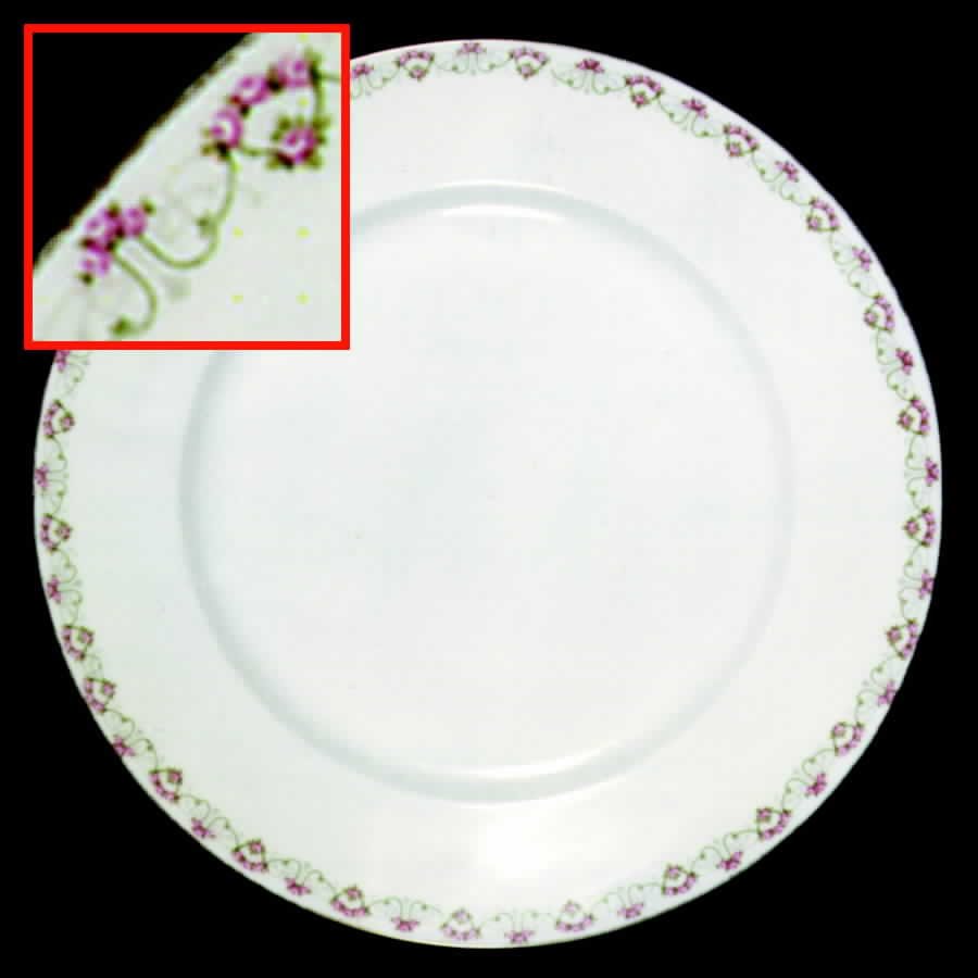 ALT204 Dinner Plate by Altrohlau-1