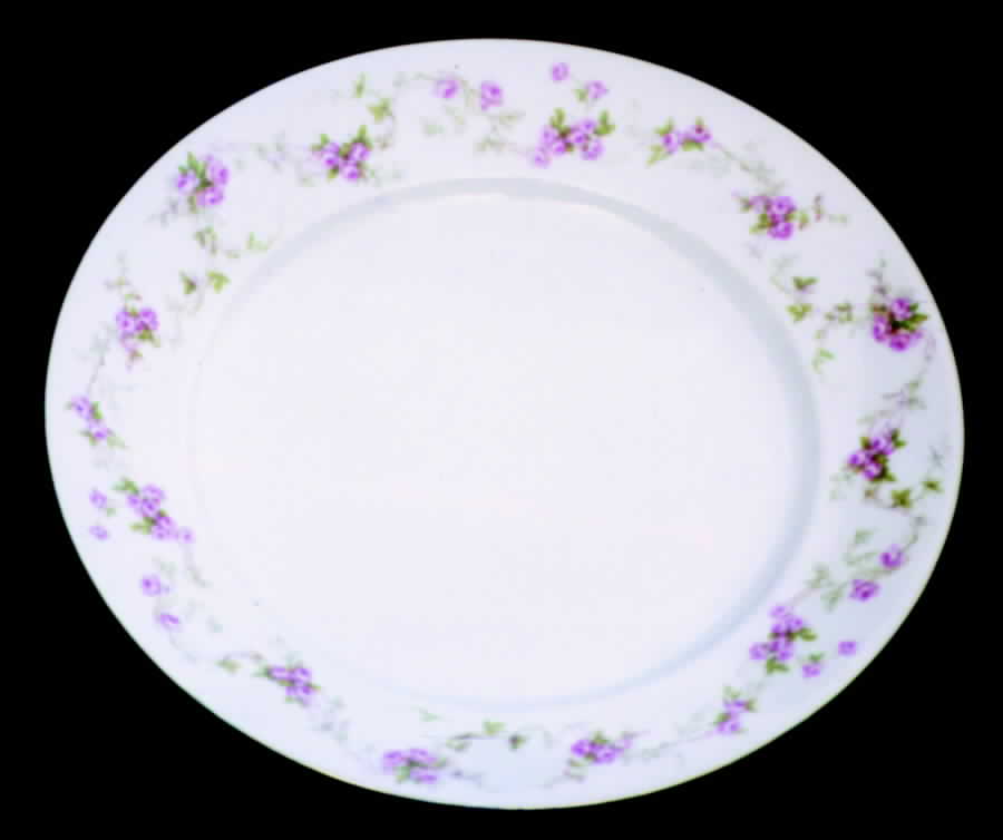 ALT206 Dinner Plate by Altrohlau-1