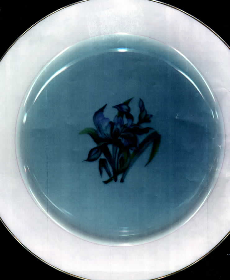 ALA17 Dinner Plate by Aladdin-1