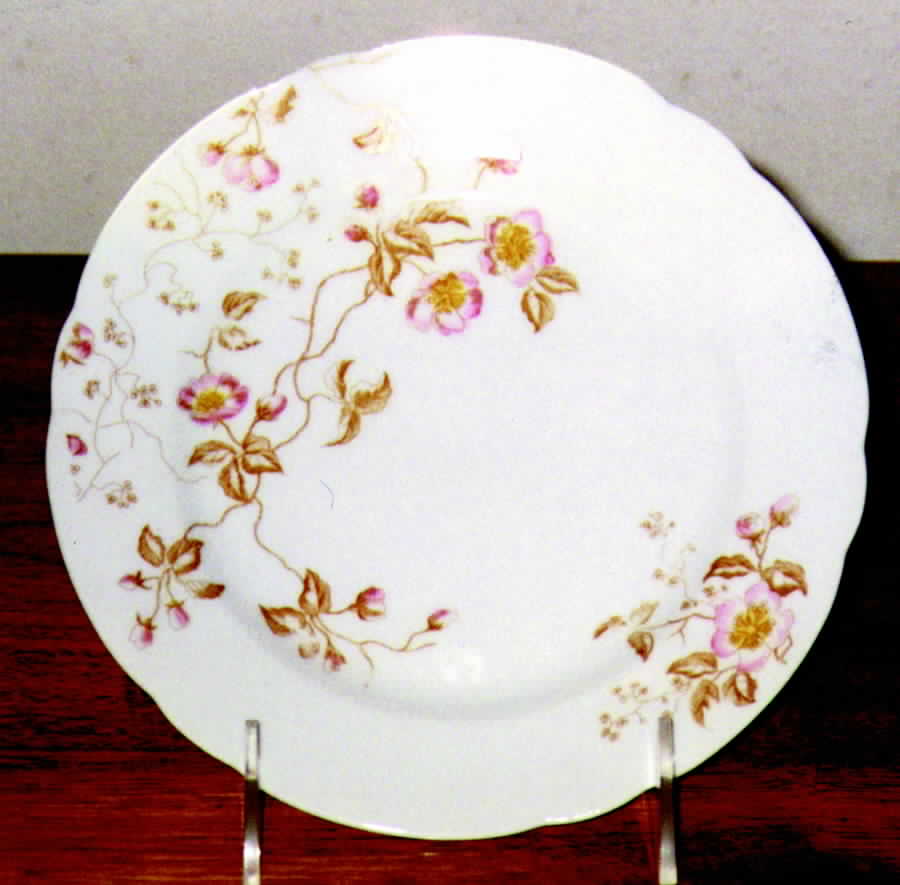 AUS193 Dinner Plate by Austria-1