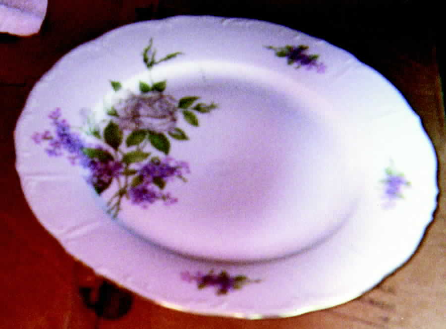 ALT214 Dinner Plate by Altrohlau-1