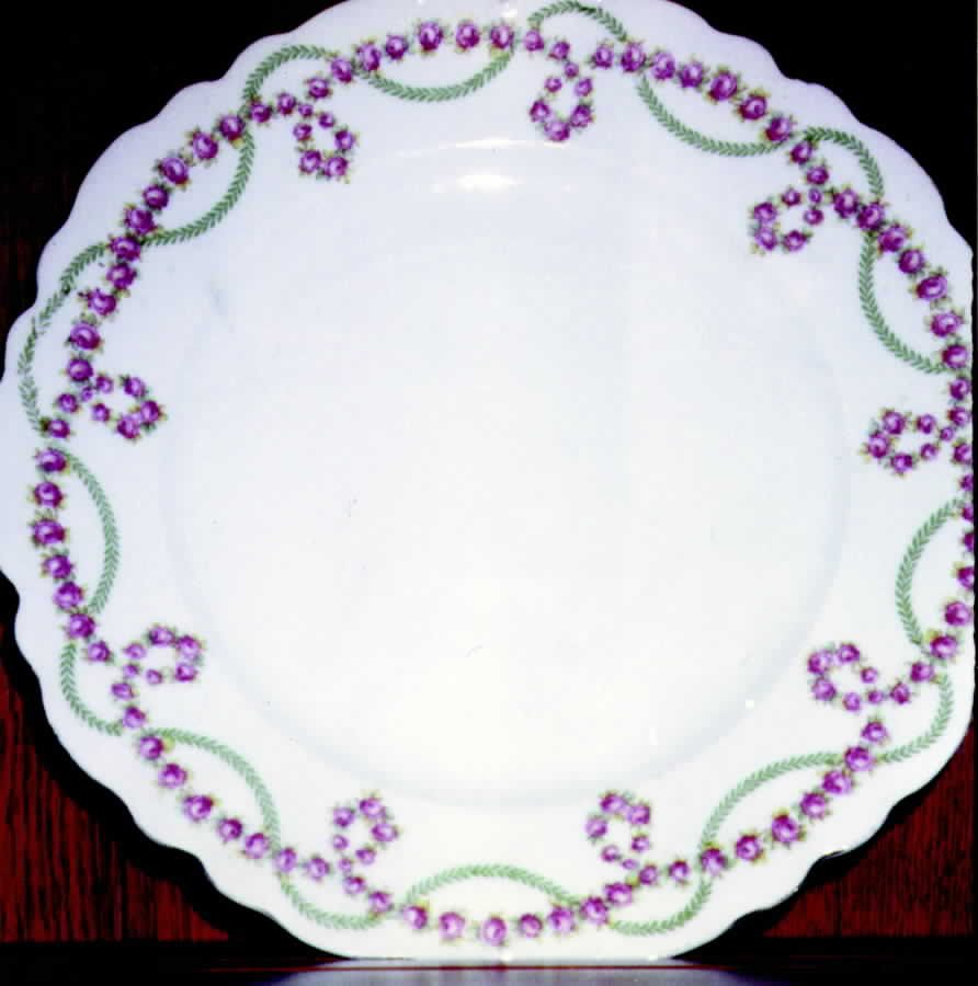 AUS194 Dinner Plate by Austria-1