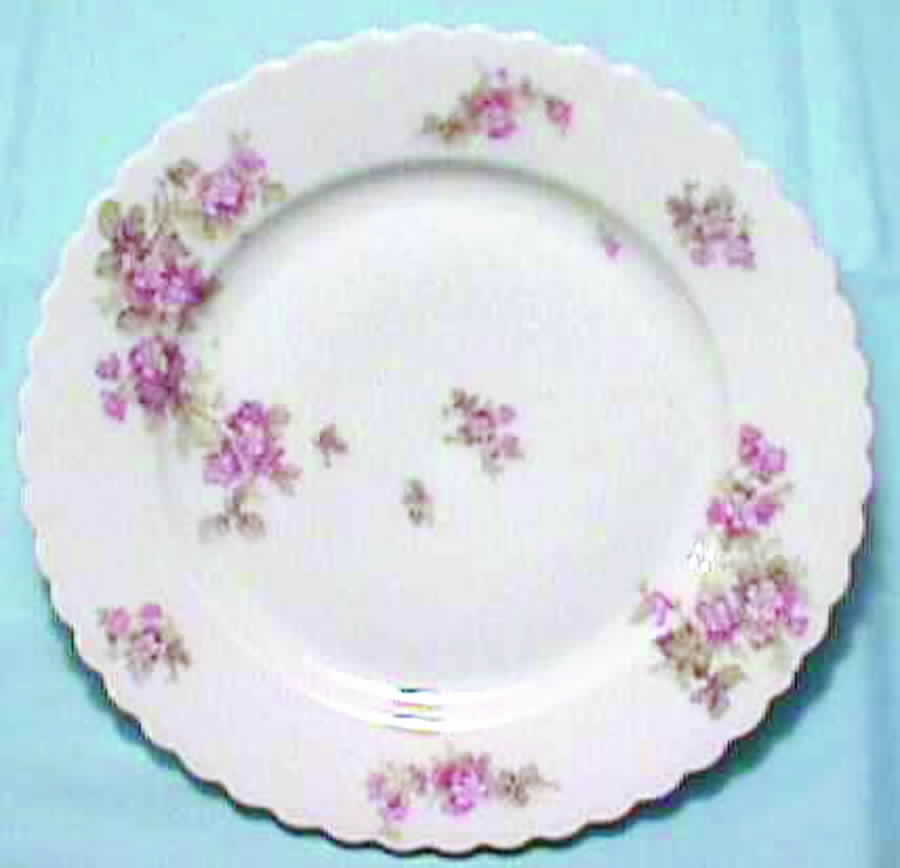 AUS195 Dinner Plate by Austria-1