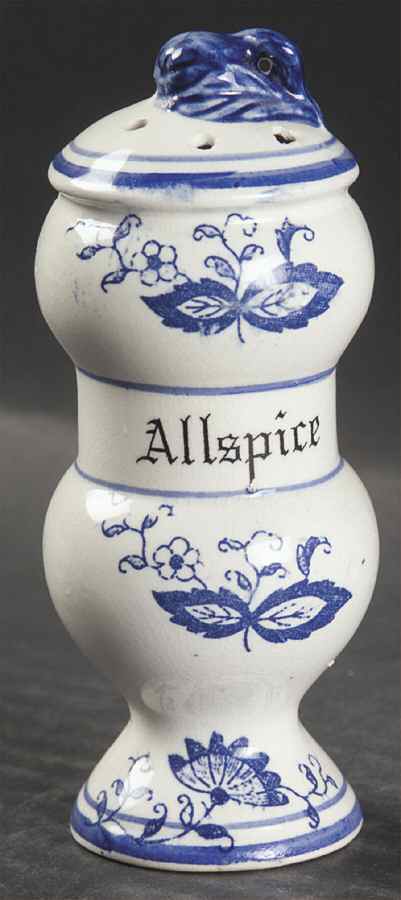 Blue Onion Spice Shaker by Arnart-1
