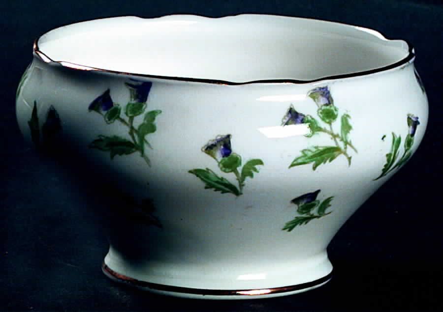 15287 (Scalloped) Mini Open Sugar Bowl by John  Aynsley & Sons-1