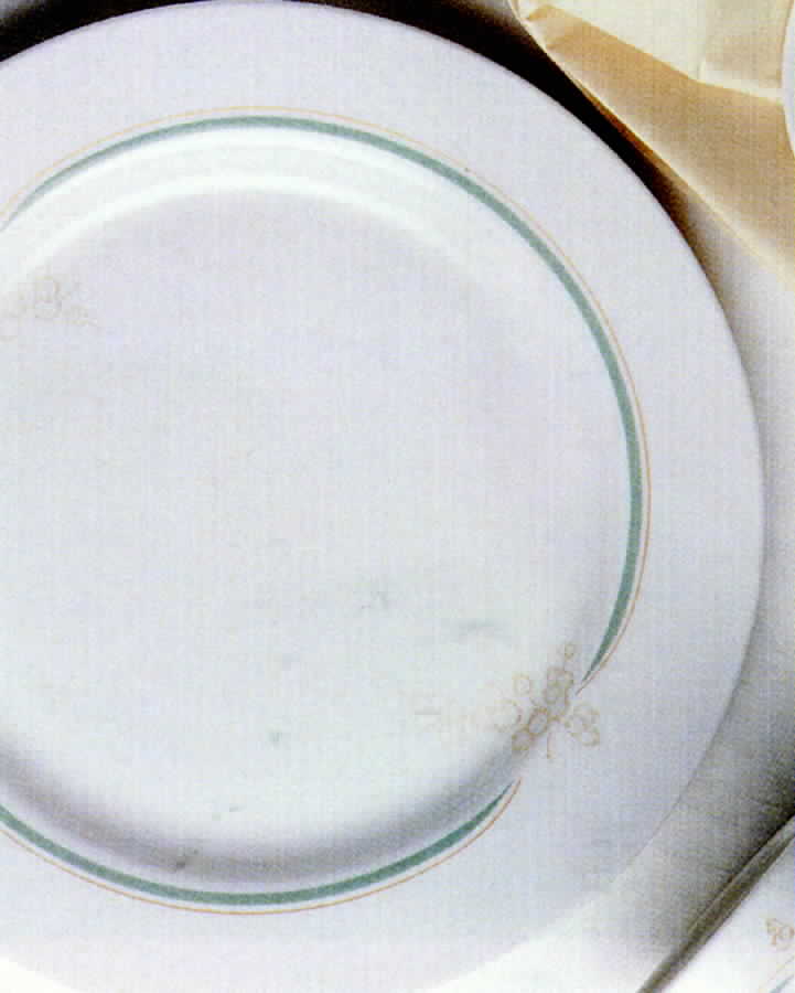 Golden Wattle Dinner Plate by Australian Fine China-1