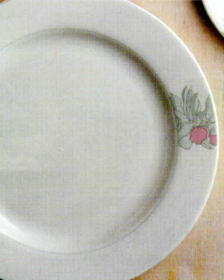 Macrocarpa Dinner Plate by Australian Fine China-1
