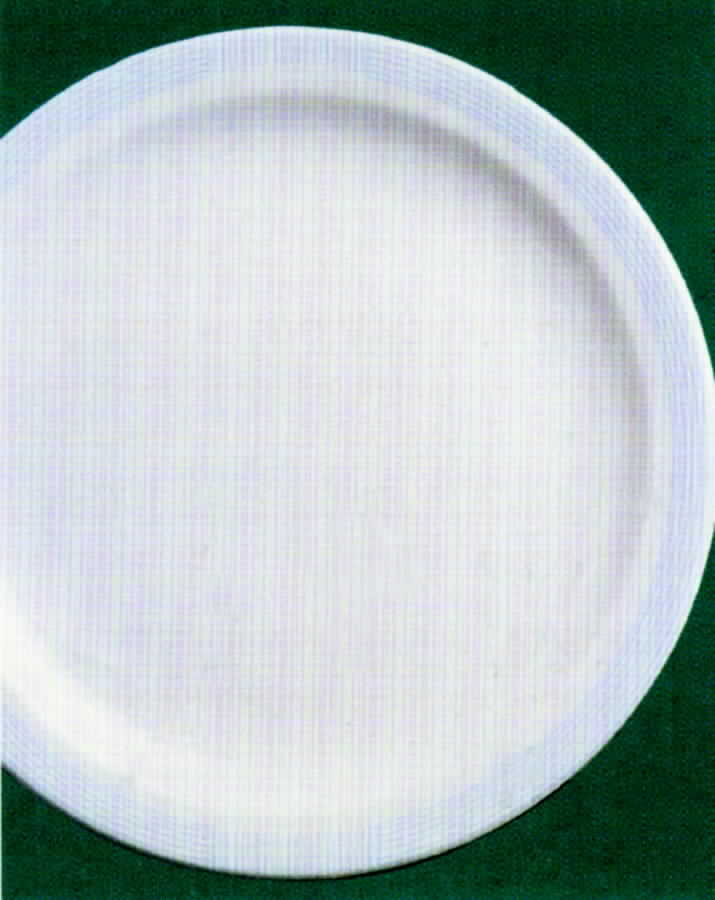 Terrace Blue Dinner Plate by Australian Fine China-1
