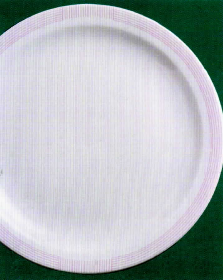 Terrace Pink Dinner Plate by Australian Fine China-1