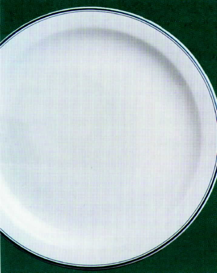 Leeuwin Green Dinner Plate by Australian Fine China-1
