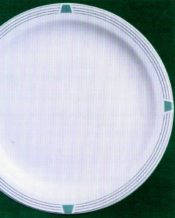 Pacific Green Dinner Plate by Australian Fine China-1