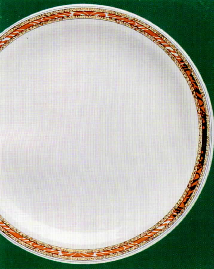 Bondi Dinner Plate by Australian Fine China-1