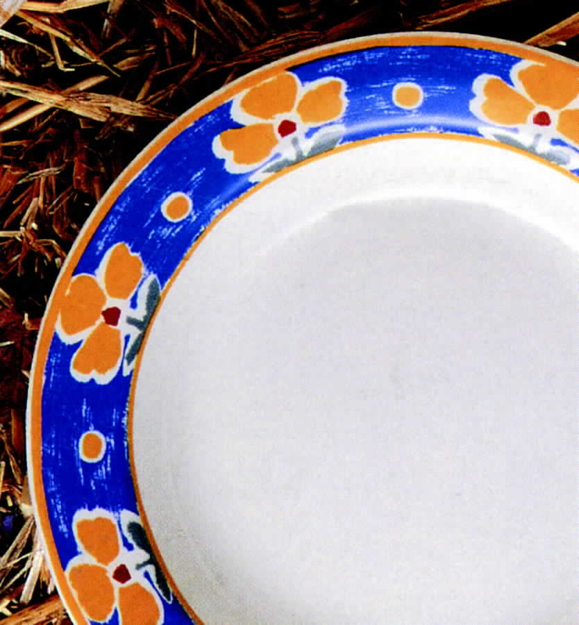 Buttercup Dinner Plate by Australian Fine China-1