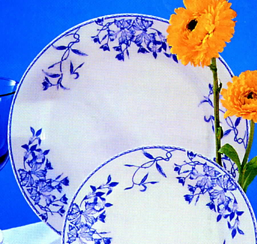 Rhapsody Dinner Plate by Australian Fine China-1