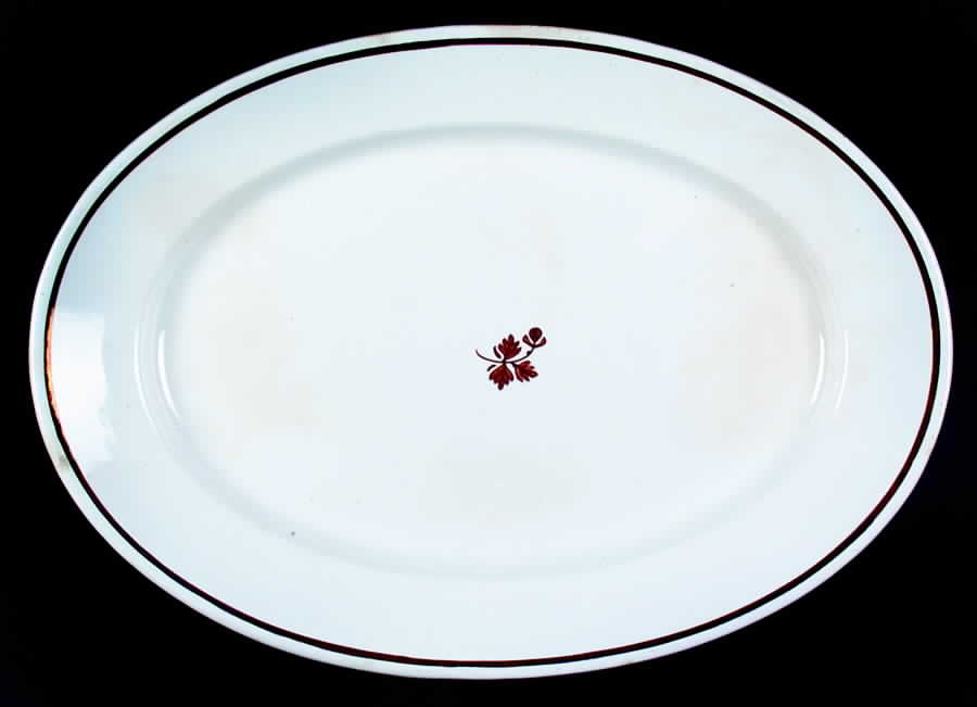 Tea Leaf (Smooth, Not Embossed Rim) 16" Oval Serving Platter by Anthony Shaw-1