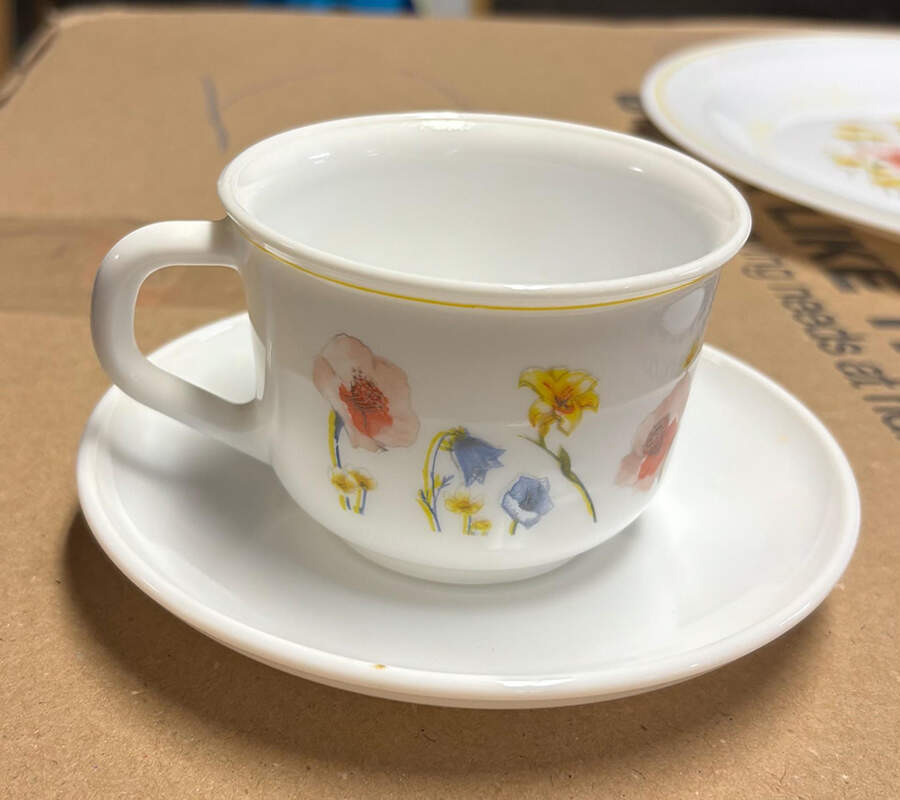 ARP11 Footed Cup & Saucer Set by Arcopal-1