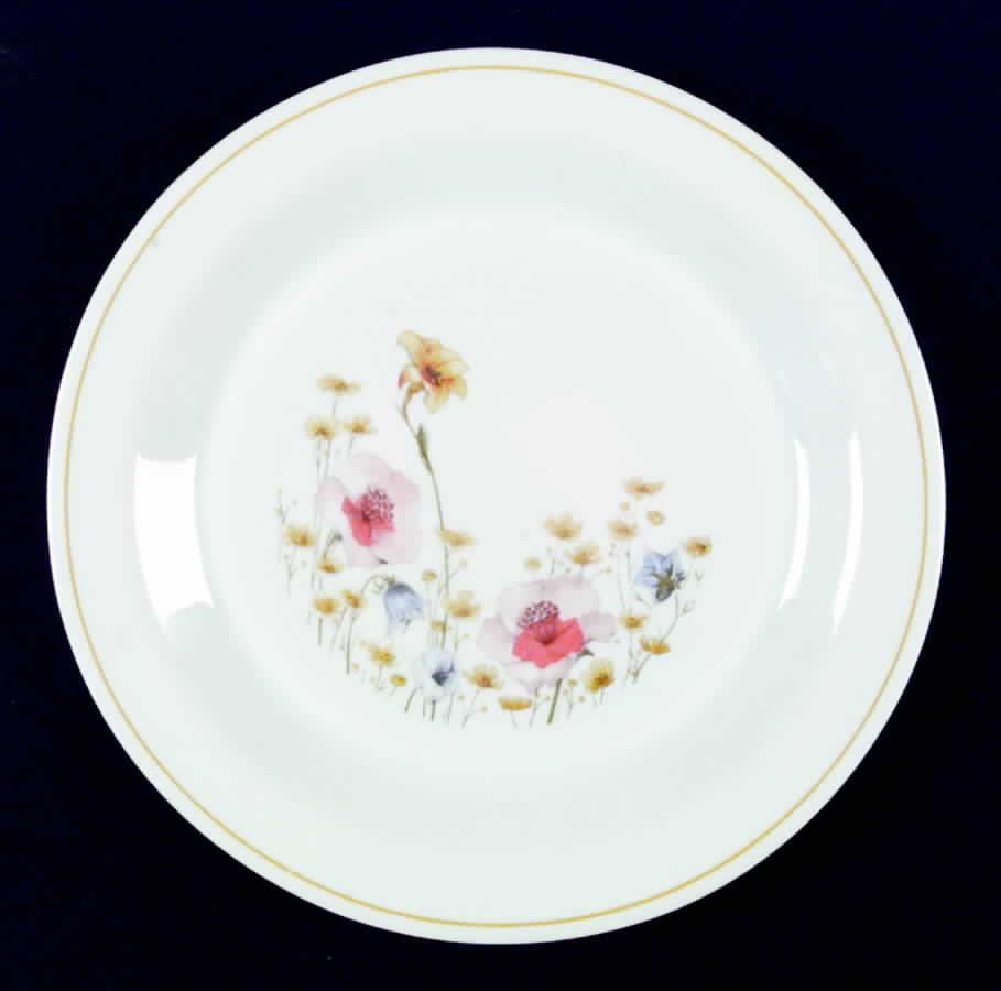 ARP11 Dinner Plate by Arcopal-1