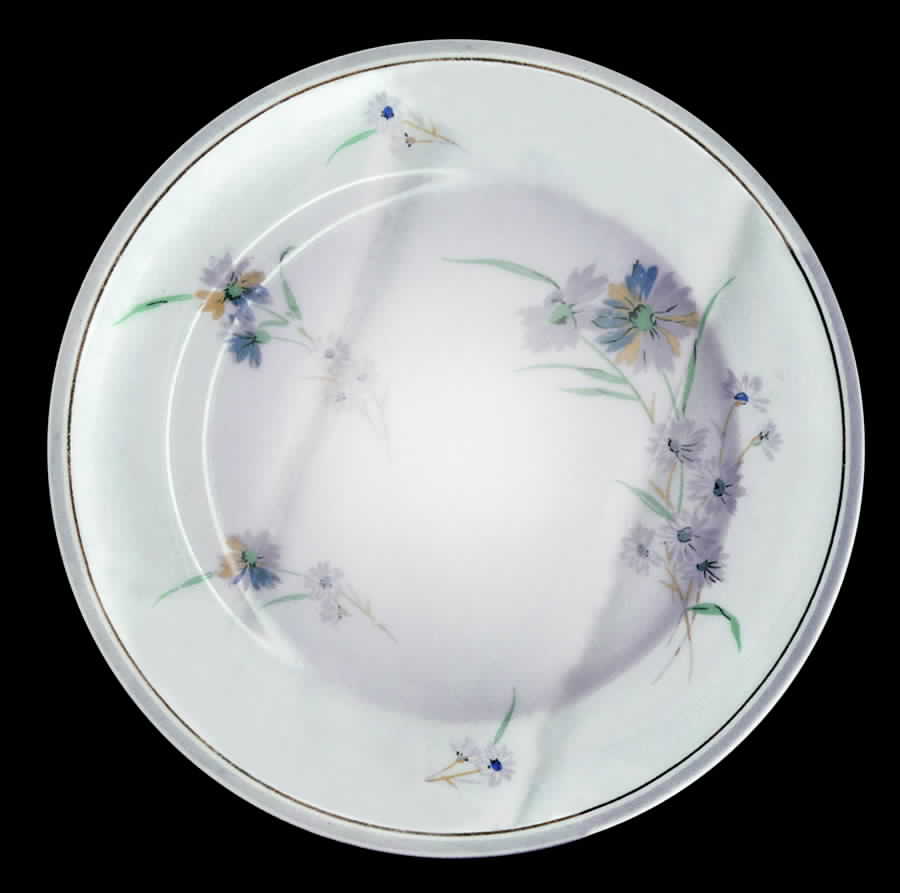 AHR334 Dinner Plate by Charles Ahrenfeldt-1