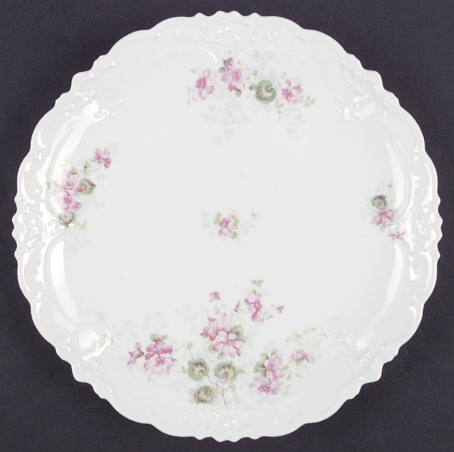 AUS202 Dinner Plate by Austria-1