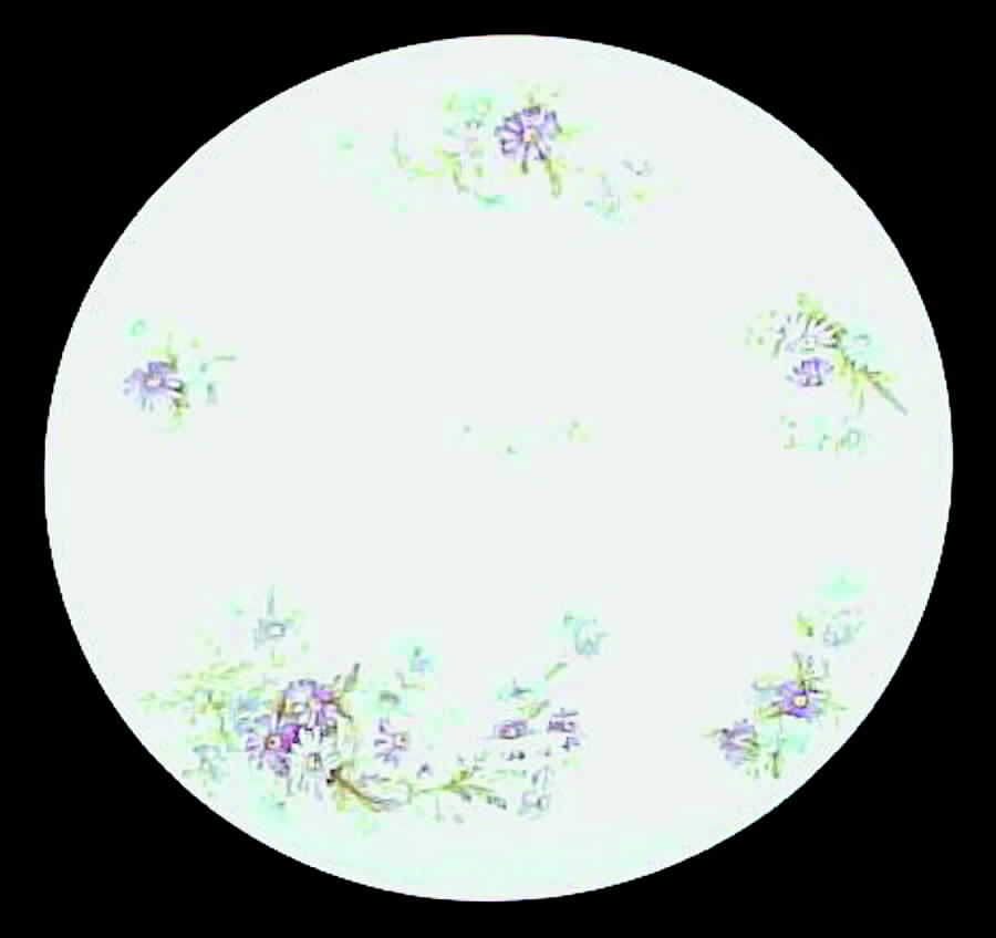 AHR348 Dinner Plate by Charles Ahrenfeldt-1